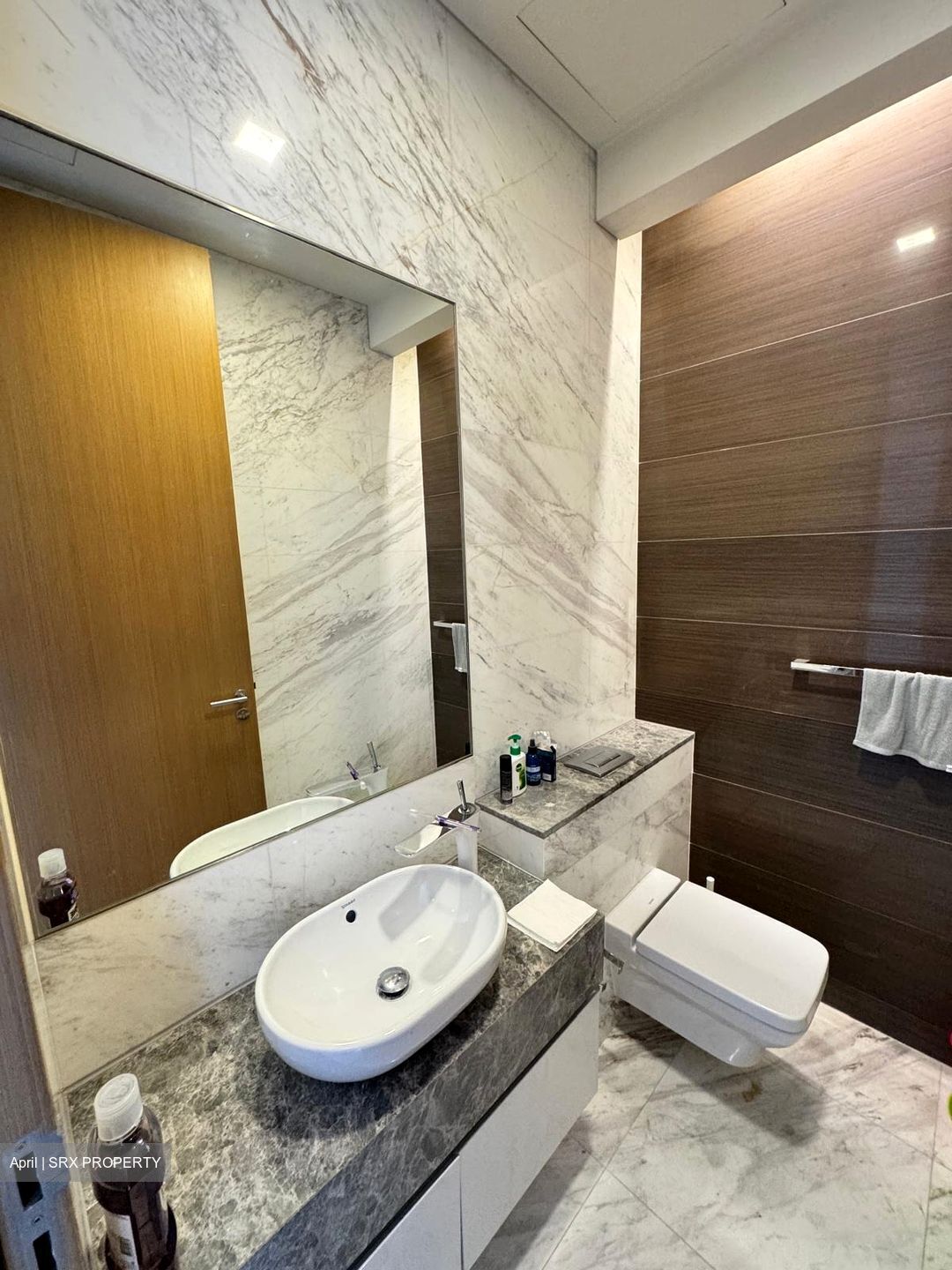 111 Emerald Hill (D9), Apartment #482506321